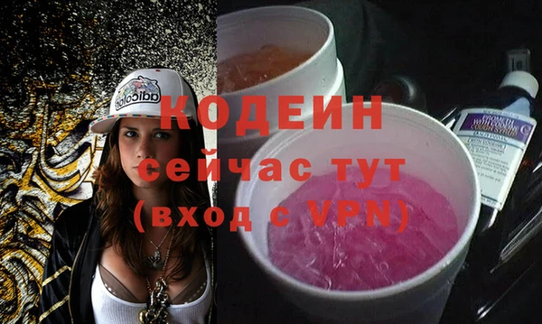 спиды Лагань