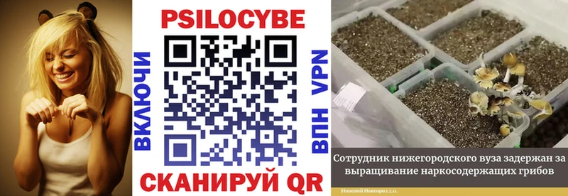 Галлюциногенные грибы MAGIC MUSHROOMS  Купить где  Шахунья 